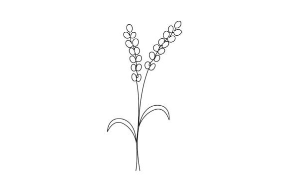 Lavender Flower Continuous Line Art Graphics