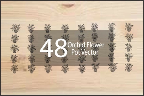 Orchid Flower Pot Vector Graphics Freebies